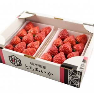 とちあいか (約15粒～22粒入り)【配送不可地域：離島・沖縄県】【1459019】