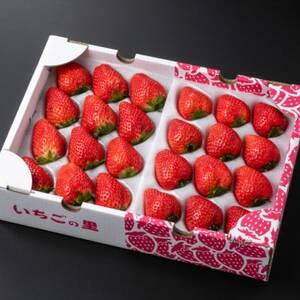 いちご食べ比べセット(スカイベリー＆とちあいか 24～30粒入り)【配送不可地域：離島・北海道・沖縄県・中国・四国・九州】【1711549】