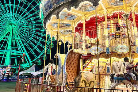 【要予約】夜のゆうえんち(日本モンキーパーク) 4時間貸切りプラン(200名まで)｜遊園地 テーマパーク 犬山 観光 体験 見どころ スポット イベント 貸切 ファミリー 旅行 社員旅行 愛知 岐阜 [0658]