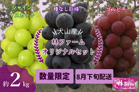 【予約受付・数量限定】犬山産 巨峰、シャインマスカット、ゴルビー詰合せ2キロ｜ぶどう 甘い 巨峰 シャインマスカット ゴルビー 夏 フルーツ 果物 種なし ブドウ 贈答 プレゼント 林ファーム 犬山 愛知 [0488]