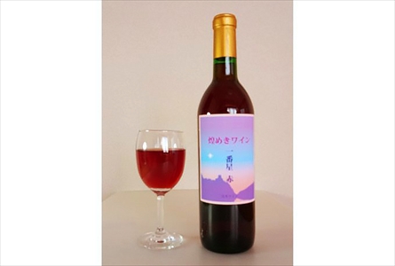 【予約受付】煌めきワイン 一番星(赤) [0097]