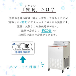 La vita 至高の飛騨牛ハンバーグ (200g)×8個 ｜レストラン 手作り 厳選 お歳暮 ジューシー 美濃けんとん [0578]