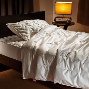 ”もっとシルクを身近に”　シルクスキン掛けふとんカバー（シングル）