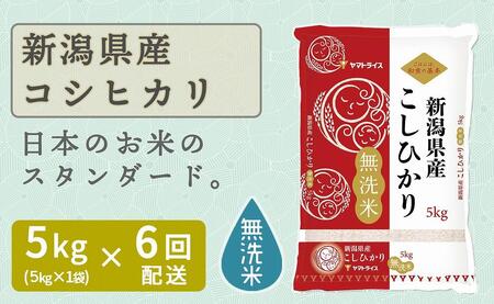 定期便全6回】無洗米新潟県産コシヒカリ5kg | 新潟県（県庁） | ふるさと納税サイト「ふるなび」