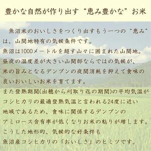 【定期便全12回】新潟県魚沼産コシヒカリ10kg