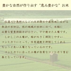 【定期便全12回】新潟県魚沼産コシヒカリ10kg