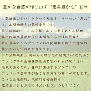 【定期便全12回】無洗米新潟県魚沼産コシヒカリ5kg（受注の翌月から毎月配送）