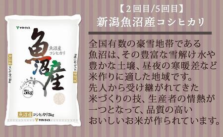【定期便全6回】新潟県産米厳選食べ比べ 5kg