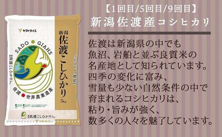 【定期便全12回】新潟県産米厳選食べ比べ 5kg（受注の翌月から毎月配送）