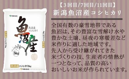 【定期便全12回】新潟県産米厳選食べ比べ 5kg