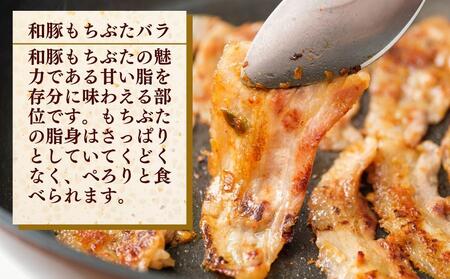 越後もちぶた（新潟県産和豚もちぶた） 焼肉セット800g