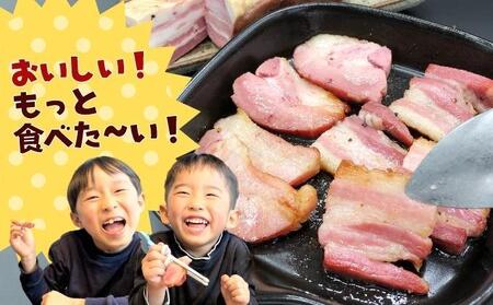 越後もちぶた(新潟県産和豚もちぶた) バラとショルダー2種のベーコンセット 600g ※2026年1月下旬より発送開始