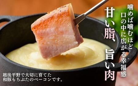 越後もちぶた(新潟県産和豚もちぶた) バラとショルダー2種のベーコンセット 600g ※2026年1月下旬より発送開始