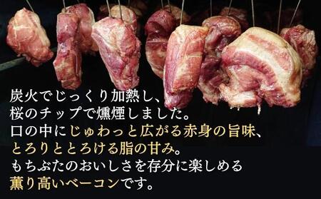 越後もちぶた(新潟県産和豚もちぶた) バラとショルダー2種のベーコンセット 600g ※2026年1月下旬より発送開始