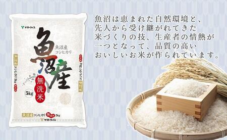 【定期便全12回】無洗米新潟県魚沼産コシヒカリ10kg(受注の翌月から毎月配送)