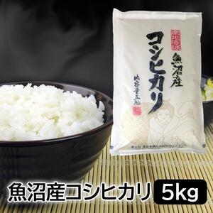 【令和7年産】お米マイスター厳選！魚沼産コシヒカリ5kg