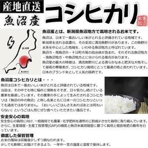 お米マイスター厳選！魚沼産コシヒカリ５kg×6ヶ月毎月発送　定期便