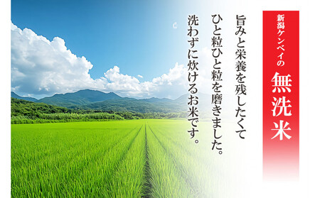 無洗米 吟精 南魚沼産コシヒカリ５kg 令和7年産 精米 