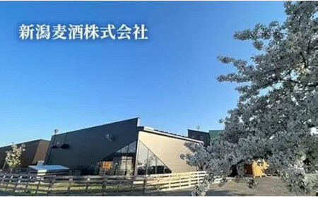 越ノ忍ウイスキーハイボール380ml×12本/Alc.8%