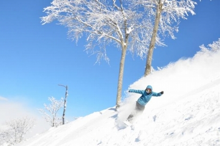 【体験利用券】新潟県の四季を満喫！ メニュー豊富！（15枚）15,000円分