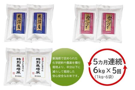 【5ヶ月定期便 毎月6kg】 新潟産コシヒカリ3種食べくらべセット