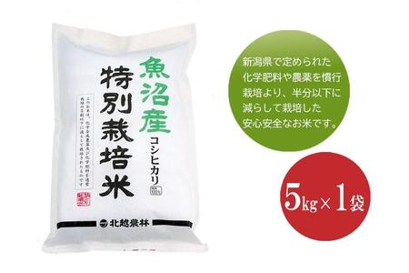 魚沼産コシヒカリ 特別栽培米5kg 新潟県認証米 令和5年産 | 新潟県