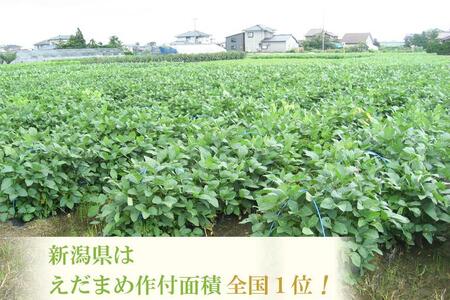 【予約】 ＧＩ登録 くろさき茶豆1.2kg  8月発送