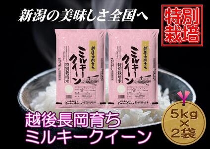 特別栽培米】新潟県産ミルキークイーン 5kg×2袋（越後長岡育ち