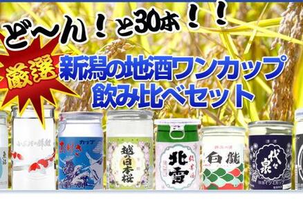 酒処・新潟の地酒ワンカップ30銘柄飲み比べ