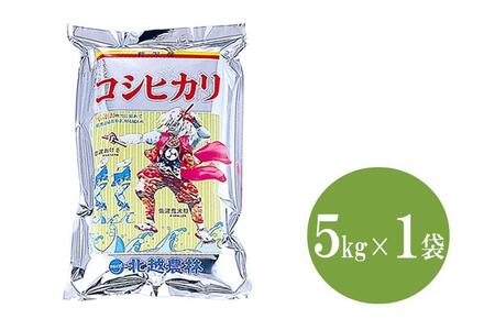 新潟産コシヒカリ5kg 令和6年産 精米 白米