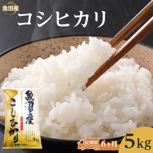 【6ヶ月定期便】令和７年産魚沼コシヒカリ5kg　1回目は注文確認後1週間以内に発送｜新潟県　魚沼　こしひかり　令和7年産