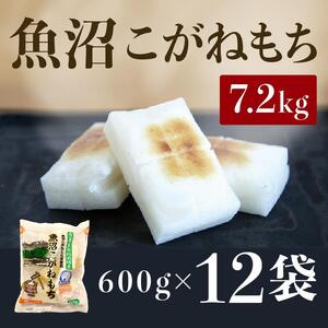 魚沼 こがねもち600ｇ×12袋　2025年10月下旬頃～順次発送予定　新潟県