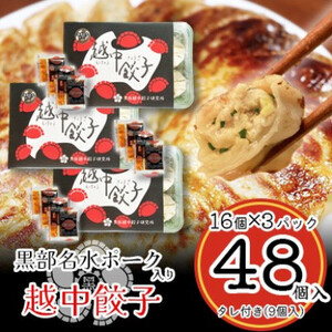 黒部名水ポーク入り越中餃子 3パック(48個入り)_惣菜・加工品 餃子 ぎょうざ ギョウザ_【配送不可地域:離島】【1558250】
