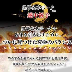 黒部名水ポーク入り越中餃子 3パック(48個入り)_惣菜・加工品 餃子 ぎょうざ ギョウザ_【配送不可地域:離島】【1558250】