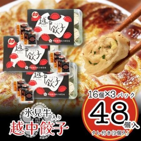 氷見牛入り越中餃子　3パック(48個入り)_惣菜・加工品 餃子  ぎょうざ ギョウザ_【配送不可地域：離島】【1558389】