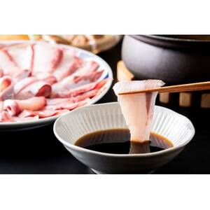 ひみ寒ぶりしゃぶしゃぶセット【配送不可地域：離島】【1677772】