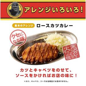 「元気の源」　ゴーゴーカレー中辛　10袋　レトルト　くせになる味【1678564】