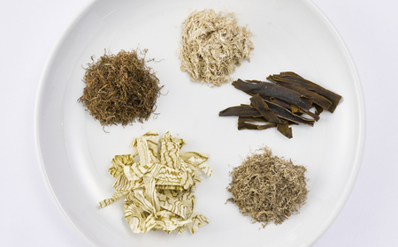 四十物昆布　昆布詰合せ 5種_魚介・海産物  海苔・海藻 _【1157353】