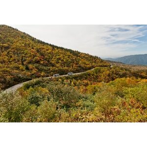 立山黒部アルペンルート　立山駅～室堂(往復)乗車券_旅行券・チケット   _【1237645】