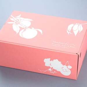 日本一の桃の里 山梨よりもぎたてを直送!山梨県オリジナル品種「夢みずき・夢しずく」1.5キロをお届け【配送不可地域：離島】【1381399】