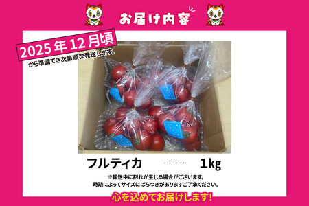 【先行予約】【2025年12月頃から順次発送】フルーツトマト　中玉フルティカ1kg　よこた農園 フフルティカ 野菜 トマト 新鮮野菜 太陽の恵み 中玉トマトトマト料理 愛知県産 フルーツとまと 甘いトマト お取り寄せ グルメ 常滑市
