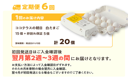 【6ヵ月定期便】ココテラスの朝日（白たまご）15個 + 5個保証（計20個） 農家直送 新鮮 卵 タマゴ 白卵 玉子 鶏卵 朝食 夕食 夜食 朝ごはん たまご焼き だし巻き卵 オムレツ 卵ご飯 料理 濃厚 飼料にこだわった 卵かけご飯 米たまご 生卵 大容量 お取り寄せ 愛知県 常滑市