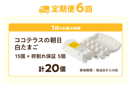 【6ヵ月定期便】ココテラスの朝日（白たまご）15個 + 5個保証（計20個）【JGAP認証】 農家直送 新鮮 卵 タマゴ 白卵 玉子 鶏卵 朝食 夕食 夜食 朝ごはん たまご焼き だし巻き卵 オムレツ 卵ご飯 料理 濃厚 飼料にこだわった 卵かけご飯 米たまご 生卵 大容量 お取り寄せ 愛知県 常滑市