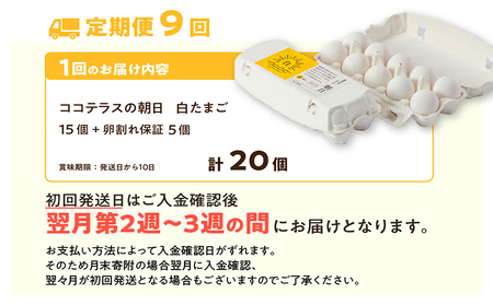 【9ヵ月定期便】ココテラスの朝日（白たまご）15個 + 5個保証（計20個） 農家直送 新鮮 卵 タマゴ 白卵 玉子 鶏卵 朝食 夕食 夜食 朝ごはん たまご焼き だし巻き卵 オムレツ 卵ご飯 料理 濃厚 飼料にこだわった 卵かけご飯 米たまご 生卵 大容量 お取り寄せ 愛知県 常滑市