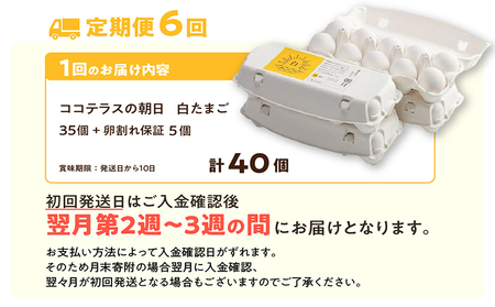 【6ヵ月定期便】ココテラスの朝日（白たまご）35個 + 5個保証（計40個） 農家直送 新鮮 卵 タマゴ 白卵 玉子 鶏卵 朝食 夕食 夜食 朝ごはん たまご焼き だし巻き卵 オムレツ 卵ご飯 料理 濃厚 飼料にこだわった 卵かけご飯 米たまご 生卵 大容量 お取り寄せ 愛知県 常滑市