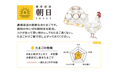 【6ヵ月定期便】ココテラスの朝日（白たまご）35個 + 5個保証（計40個） 農家直送 新鮮 卵 タマゴ 白卵 玉子 鶏卵 朝食 夕食 夜食 朝ごはん たまご焼き だし巻き卵 オムレツ 卵ご飯 料理 濃厚 飼料にこだわった 卵かけご飯 米たまご 生卵 大容量 お取り寄せ 愛知県 常滑市