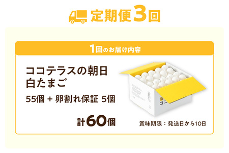 【3ヵ月定期便】ココテラスの朝日（白たまご）55個 + 5個保証（計60個）【JGAP認証】 農家直送 新鮮 卵 タマゴ 白卵 玉子 鶏卵 朝食 夕食 夜食 朝ごはん たまご焼き だし巻き卵 オムレツ 卵ご飯 料理 濃厚 飼料にこだわった 卵かけご飯 米たまご 生卵 大容量 お取り寄せ 愛知県 常滑市
