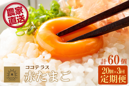 【3ヵ月定期便】ココテラスの明日(赤たまご)15個 + 5個保証(計20個)【JGAP認証】 農家直送 新鮮 卵 タマゴ 赤卵 玉子 鶏卵 朝食 夕食 夜食 朝ごはん たまご焼き オムレツ 卵ご飯 料理 濃厚 飼料にこだわった 卵かけご飯 米たまご 生卵 大容量 お取り寄せ 愛知県 常滑市
