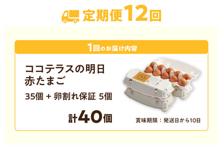 【12ヵ月定期便】ココテラスの明日(赤たまご)35個 + 5個保証(計40個)【JGAP認証】 農家直送 新鮮 卵 タマゴ 赤卵 玉子 鶏卵 朝食 夕食 夜食 朝ごはん たまご焼き オムレツ 卵ご飯 料理 濃厚 飼料にこだわった 卵かけご飯 米たまご 生卵 大容量 お取り寄せ 愛知県 常滑市