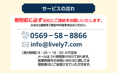 空き家管理サービス　６か月ライトプラン 管理 保守 空き家 防犯 不動産 サービス サポート ライブリー Lively 市内限定 困りごと 管理サービス 旅行 空き家活用 管理代行 見回り 遠方 実家 点検 安心 屋外 草木 愛知県 常滑市